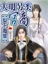 《大明另类官商》小说封面