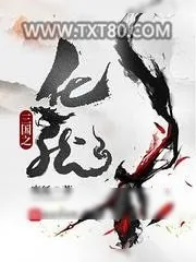 《三国之化龙》小说封面
