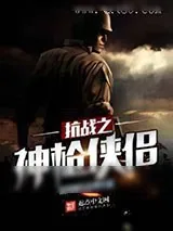 《抗战之神枪侠侣》小说封面