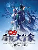 《极品后院大管家》小说封面