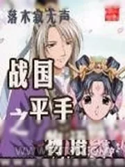 《战国之平手物语》小说封面