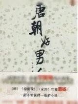 《唐朝好男人》小说封面