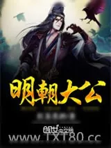 《明朝大公》小说封面