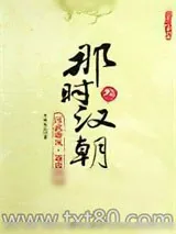 《那时汉朝（叁）：汉武雄风·逐鹿四方》小说封面