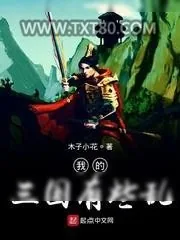 《我的三国有些乱》小说封面