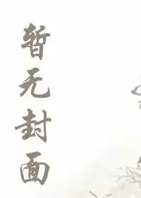 《二战：法兰西的垂死挣扎》小说封面