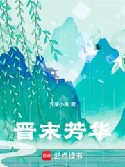 《晋末芳华》小说封面