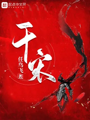 《干宋》小说封面