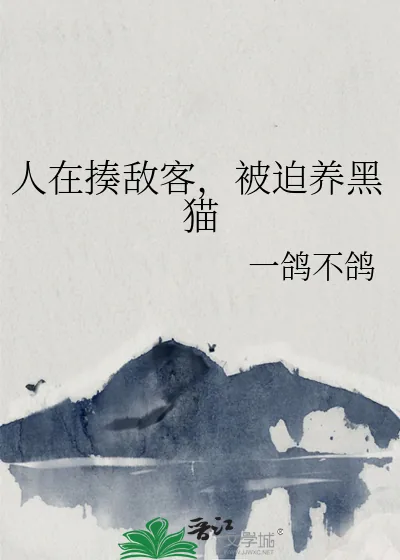 《人在揍敌客，被迫养黑猫》小说封面