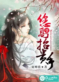 《爷，您高抬贵手》小说封面