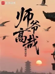 《师爷高哉》小说封面