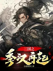 《三国之季汉再起》小说封面