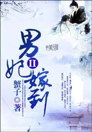 《男妃嫁到II》小说封面