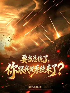 《要当总统了，你跟我说系统来了？》小说封面