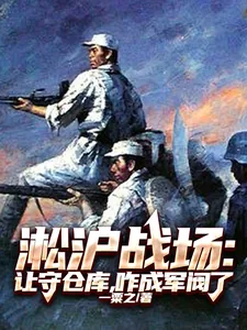 《淞沪战场：让守仓库，咋成军阀了》小说封面
