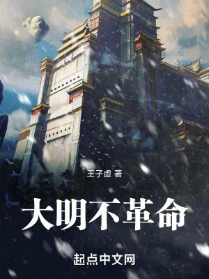 《大明不革命》小说封面