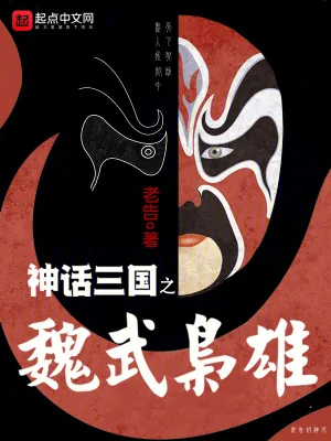 《神话三国之魏武枭雄》小说封面