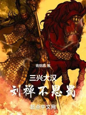 《三兴大汉：刘禅不思蜀》小说封面