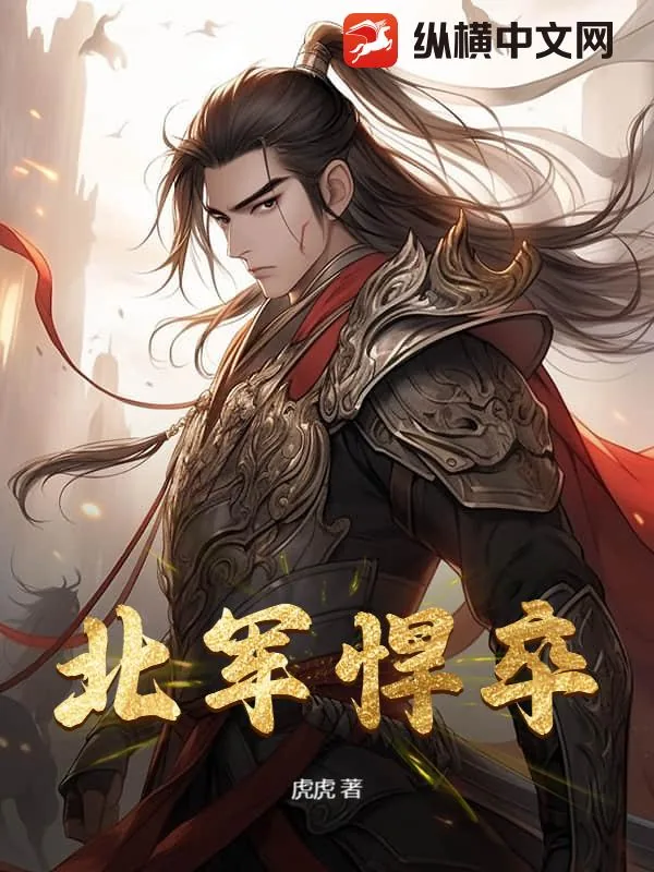 《北军悍卒》小说封面
