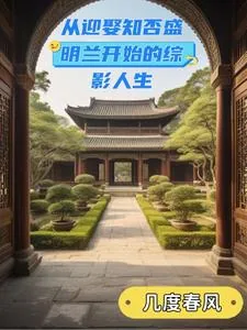 《从迎娶知否盛明兰开始的综影人生》小说封面