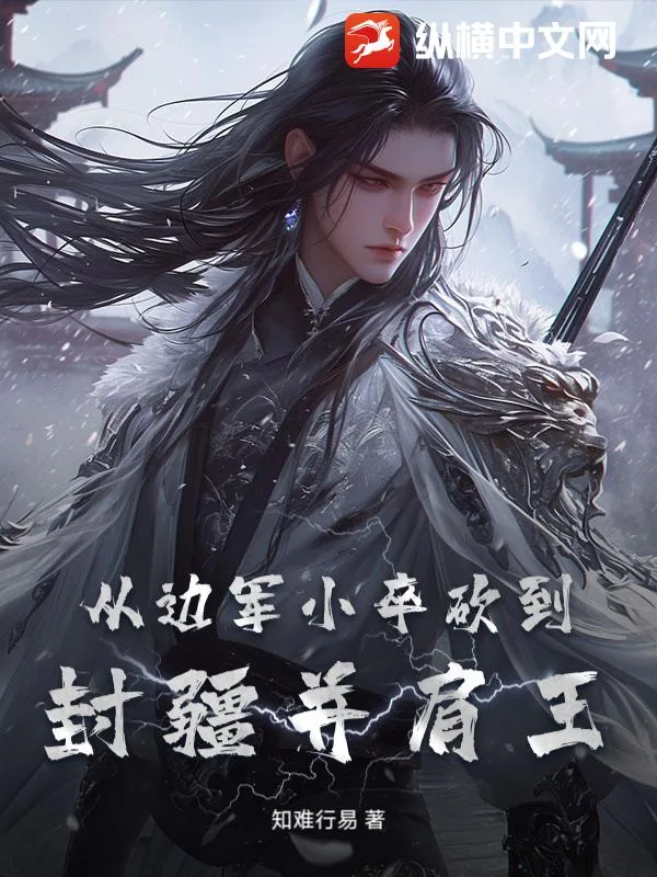 《从边军小卒砍到封疆并肩王》小说封面