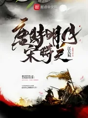 《唐时明月宋时关》小说封面