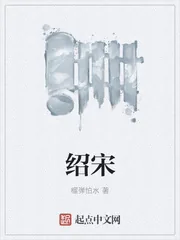 《绍宋》小说封面