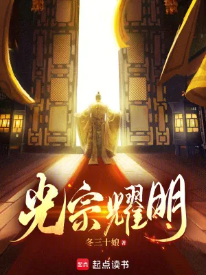 《光宗耀明》小说封面