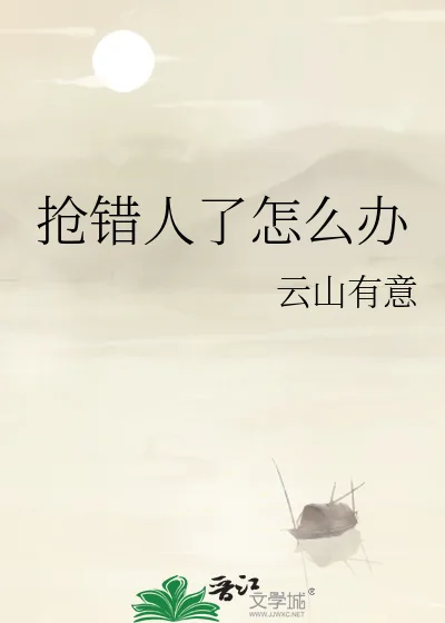 《抢错人了怎么办》小说封面