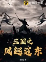 《三国之风起辽东》小说封面