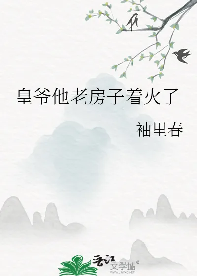 《皇爷他老房子着火了》小说封面