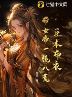 《臣本布衣，带女帝一统八荒》小说封面