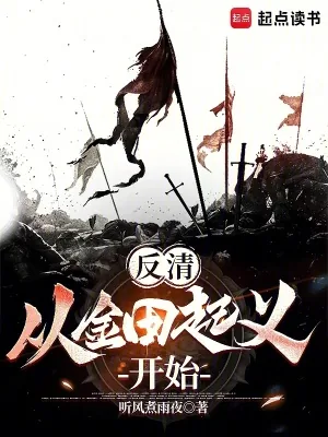 《反清：从金田起义开始》小说封面