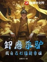 《卸磨杀驴？我自己打造新帝国！》小说封面