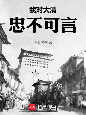 《我对大清忠不可言》小说封面