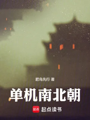 《单机南北朝》小说封面