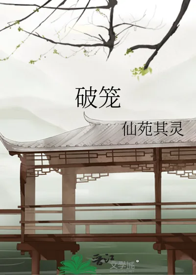《破笼》小说封面
