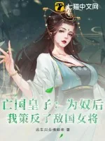 《亡国皇子：为奴后，我策反了敌国女将》小说封面