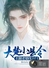 《大楚小县令：长腿老婆找上门》小说封面