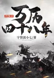 《万历四十八年》小说封面