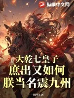 《大乾七皇子：庶出又如何，朕当名震九州！》小说封面