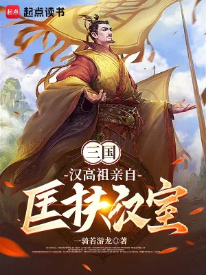 《三国，汉高祖亲自匡扶汉室》小说封面
