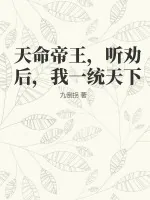 《天命帝王，听劝后，我一统天下》小说封面