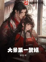 《大景第一赘婿》小说封面