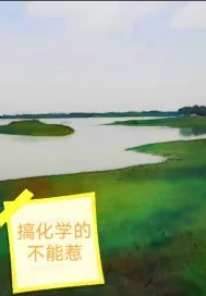 《搞化学的不能惹》小说封面