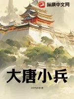 《大唐小兵》小说封面