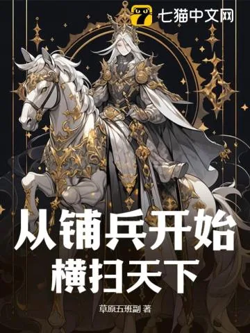 《从铺兵开始横扫天下》小说封面