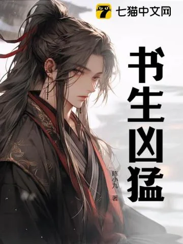 《书生凶猛》小说封面