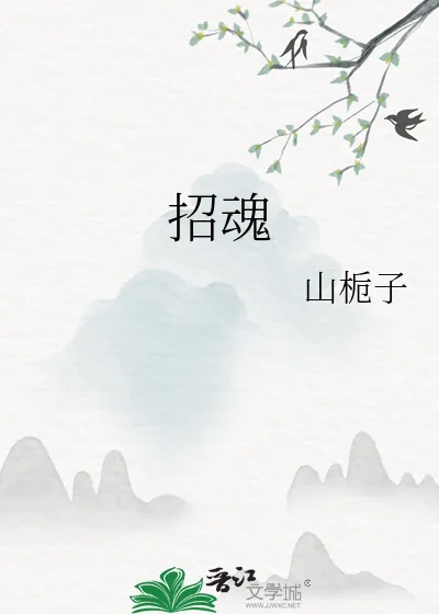 《招魂》小说封面