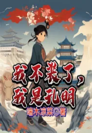 《我不装了，我是孔明》小说封面